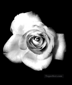 黒と白 Painting - xsh507 黒と白の花